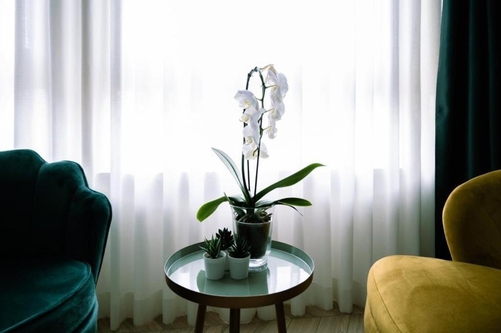 Salotto Room Boutique 佩斯卡拉 外观 照片